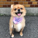 人大好きなアロエくん