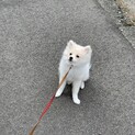元気いっぱいニアちゃん