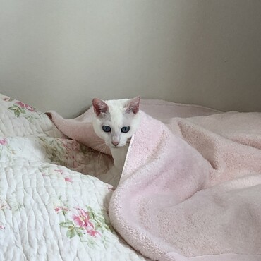 の写真