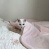 の写真