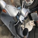 トライアル決定 片目の成猫 男の子