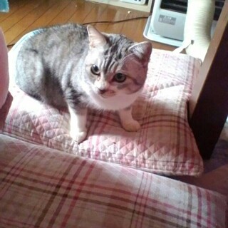 急募