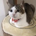 沢山の愛を注いでくれるご家族の元へ
