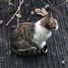 の写真