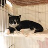 Boo【ぶぅ】