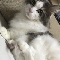 光圀