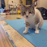 ユシロウ