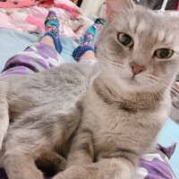 ミッシェル