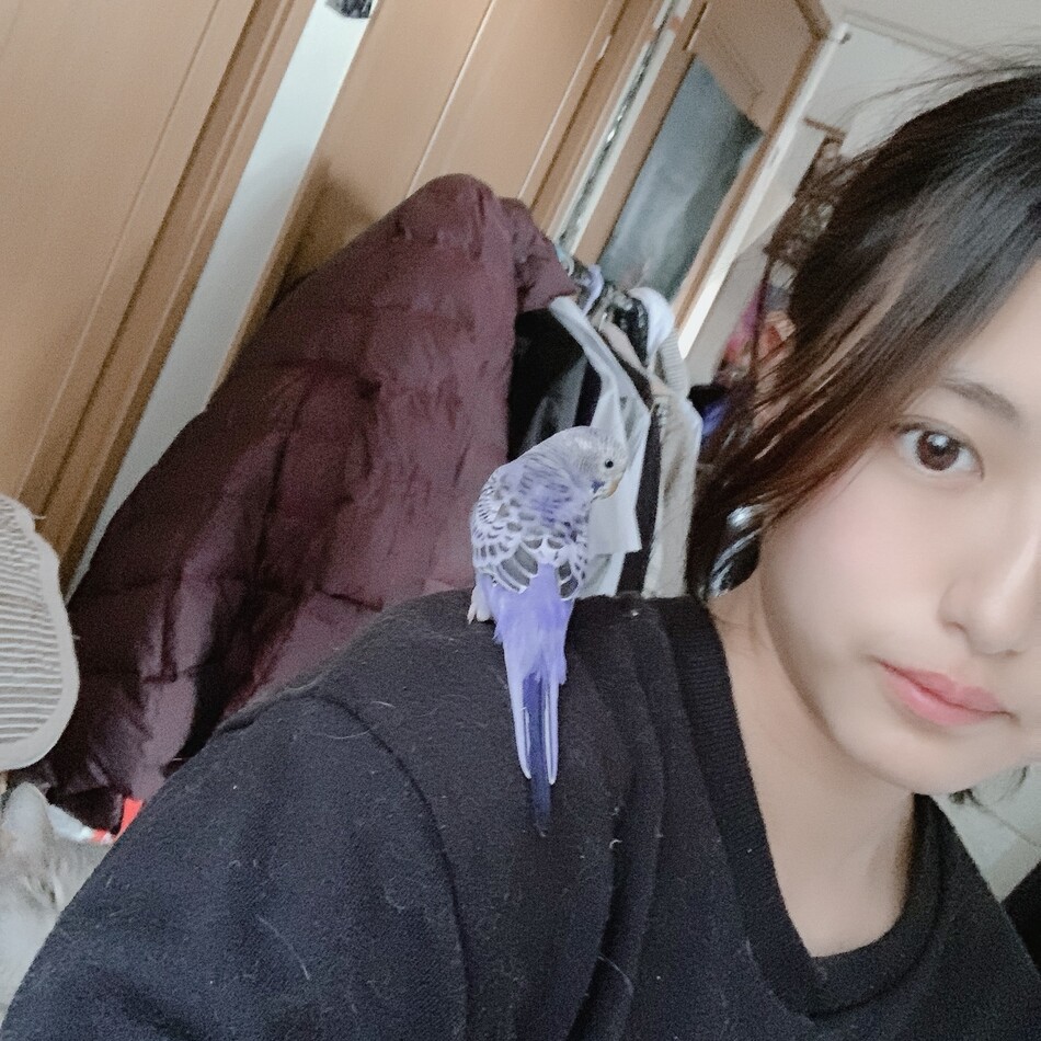 メイリーのカバー写真