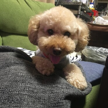 くつろぎ〜