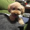くつろぎ〜