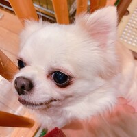 マル