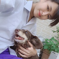 メイプル