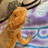 なんやねん。みたいな顔
