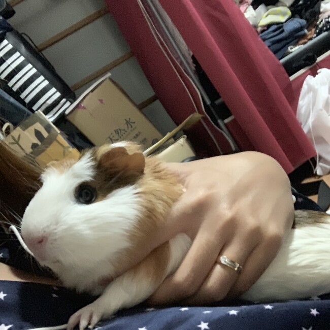 ミンmのカバー写真