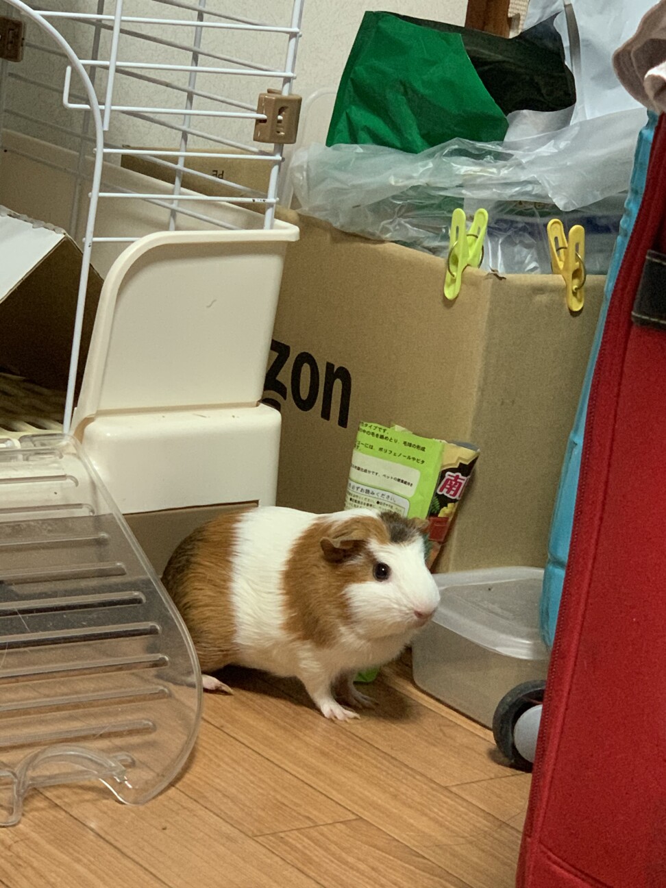 急募！！ サムネイル2