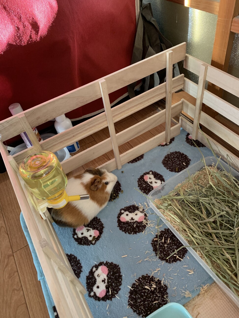 急募！！ サムネイル3