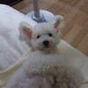 の写真