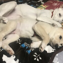 のんびり過ごしてます