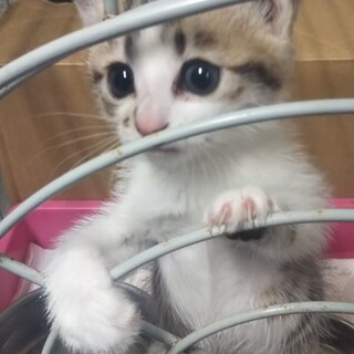 ありがとうございました。