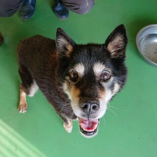 【感謝】繋がります！くろじぃたん→武蔵(>ω<)