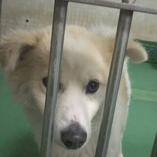 ありがとうございました。