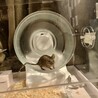 ファンシーマウスの里親さんを募集します。 サムネイル3