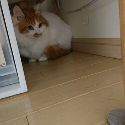 あまと20年は…