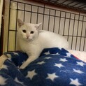 外で生きてた、シアちゃん。トライアル決定