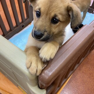 甘えん坊のカワイイ男の子です③