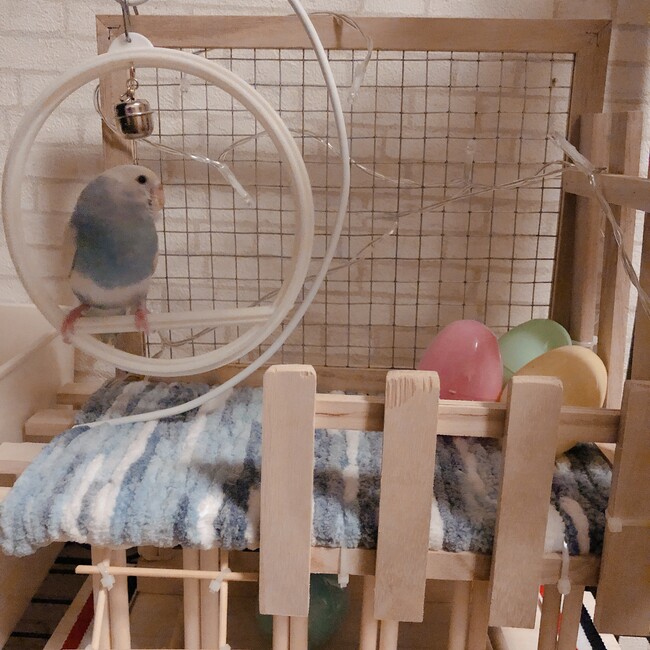 福岡葵のカバー写真