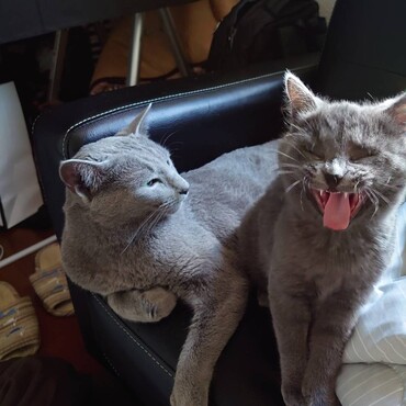 のんびりまったり