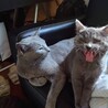 のんびりまったり