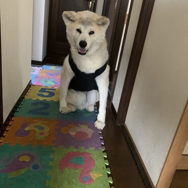 闘病中記録。。。