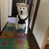 闘病中記録。。。