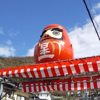 ５ヶ月の男の子きなこちゃん