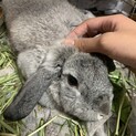 面会予定です^ ^温かい家族に