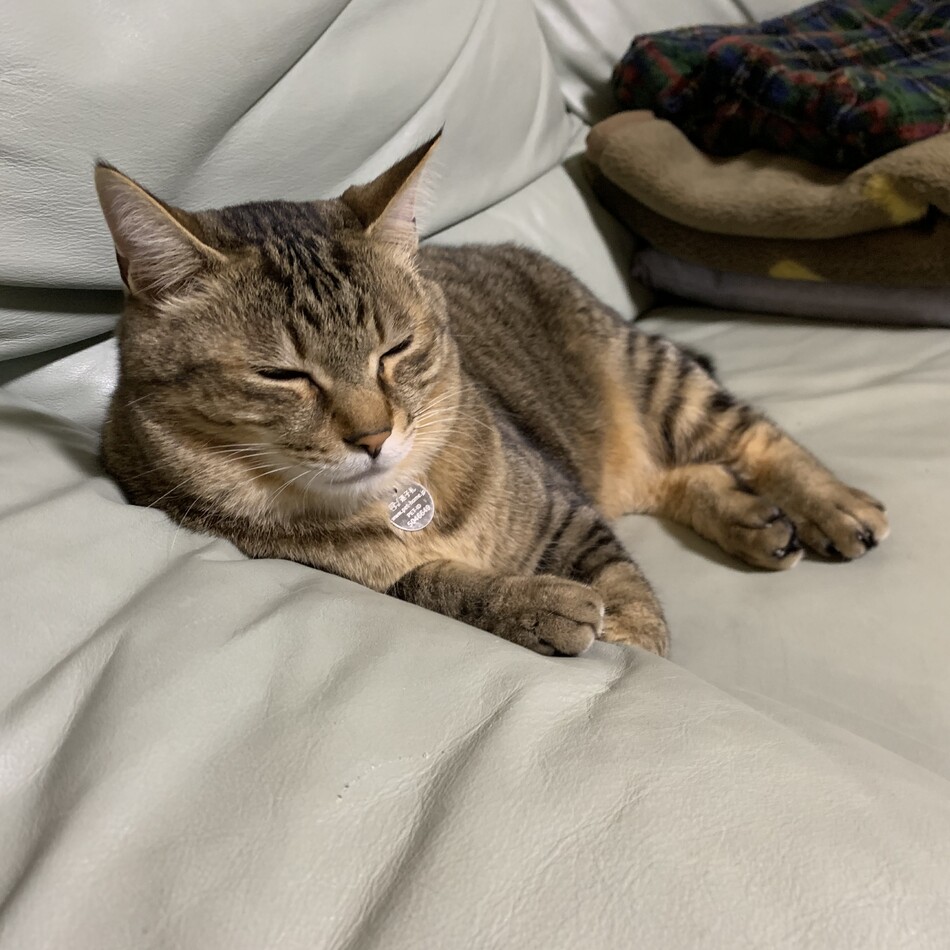 なーのカバー写真