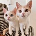 ［受付一時中止］男は愛敬！スリゴロのブサカワ兄弟