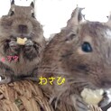 【お話中】