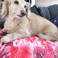 ルナ