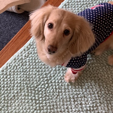 実家で♡