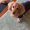 実家で♡
