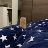 後ろ姿　笑