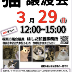 【開催中止】猫☆譲渡会 サムネイル1