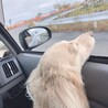 ドライブ♡