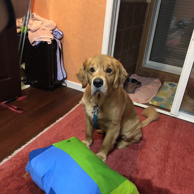 マルーシのカバー写真