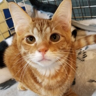 ボク、大きくなったよ！！