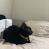 の写真