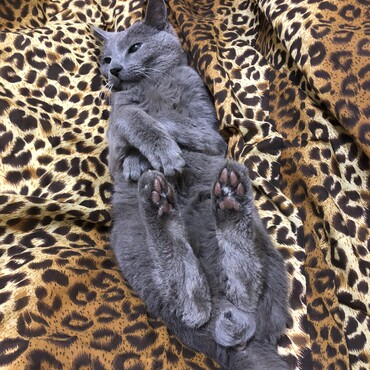 の写真